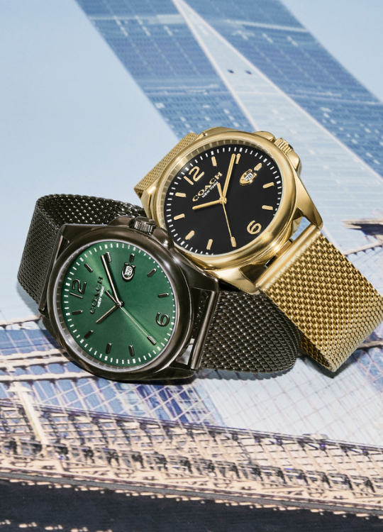 Bacher & Co - Coach Overview Image